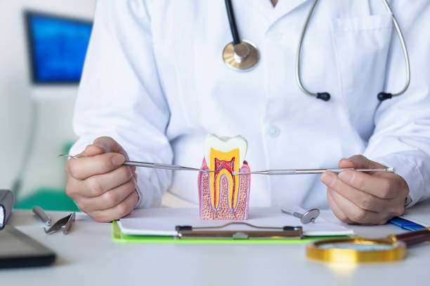 Best Root Canal Emergency Dentist  in Jekyll Island, GA